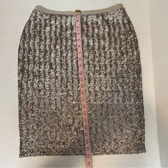 NWT J. Jill Sequins Pencil Sterling Women’s Skirt | Size XS - Picture 9 of 10